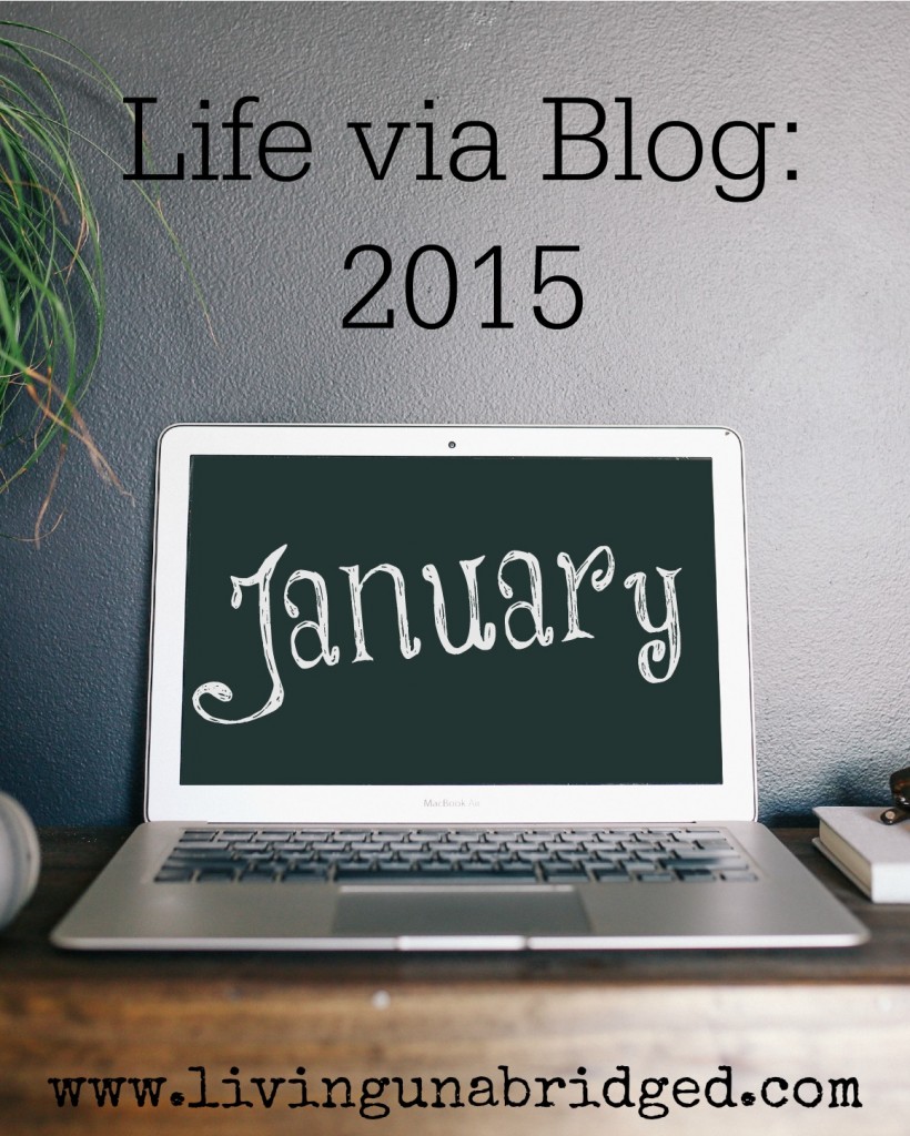 blog january 2015