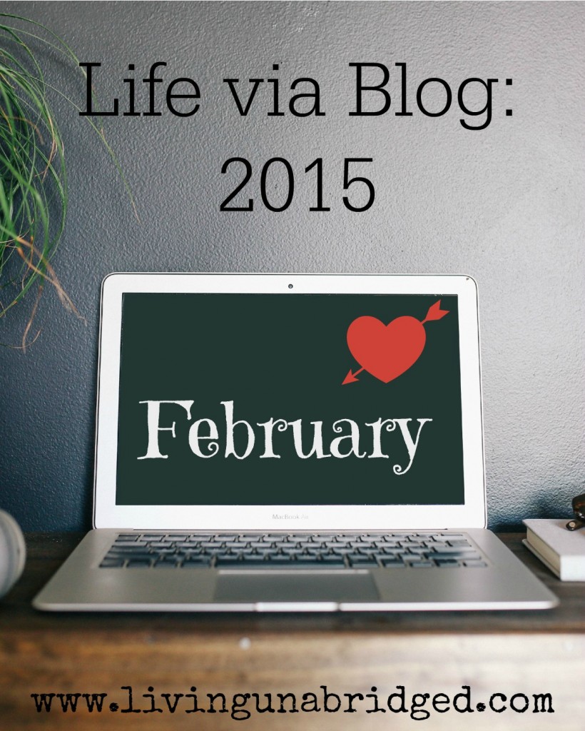 blog life 2015 february