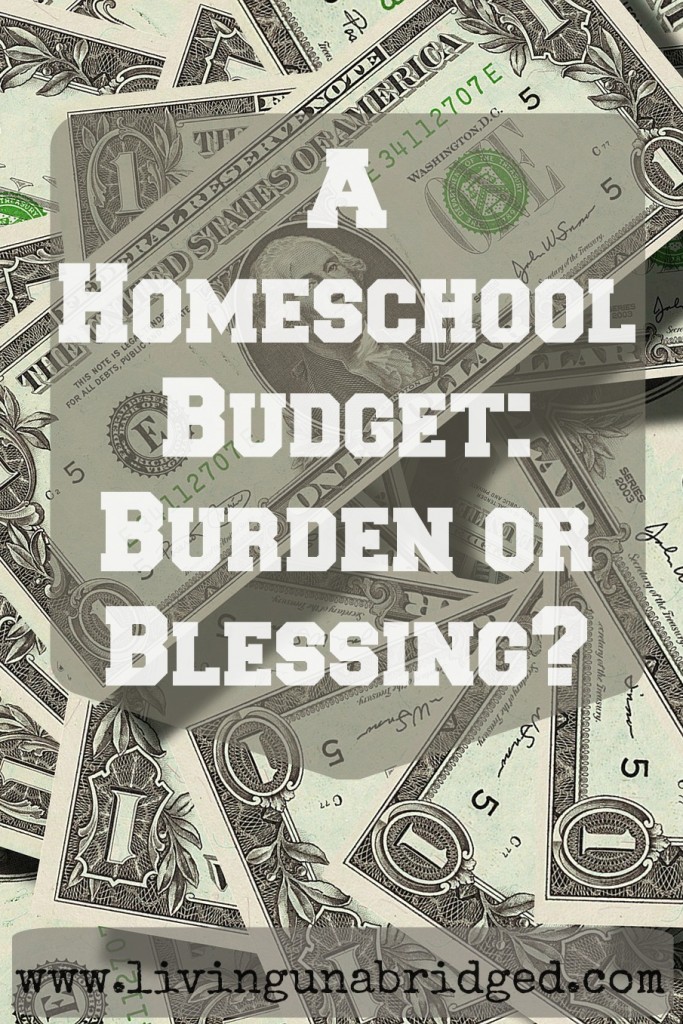 Homeschool Budget: burden or blessing?