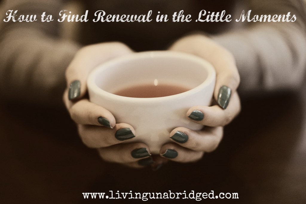 renewal in little moments