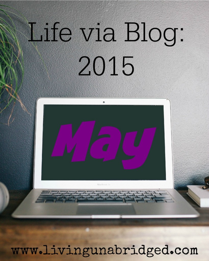 blog life may