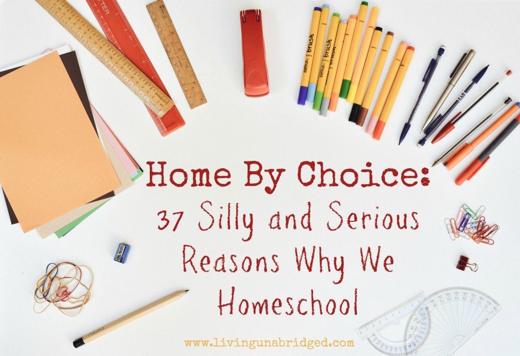 37 reasons we choose to homeschool