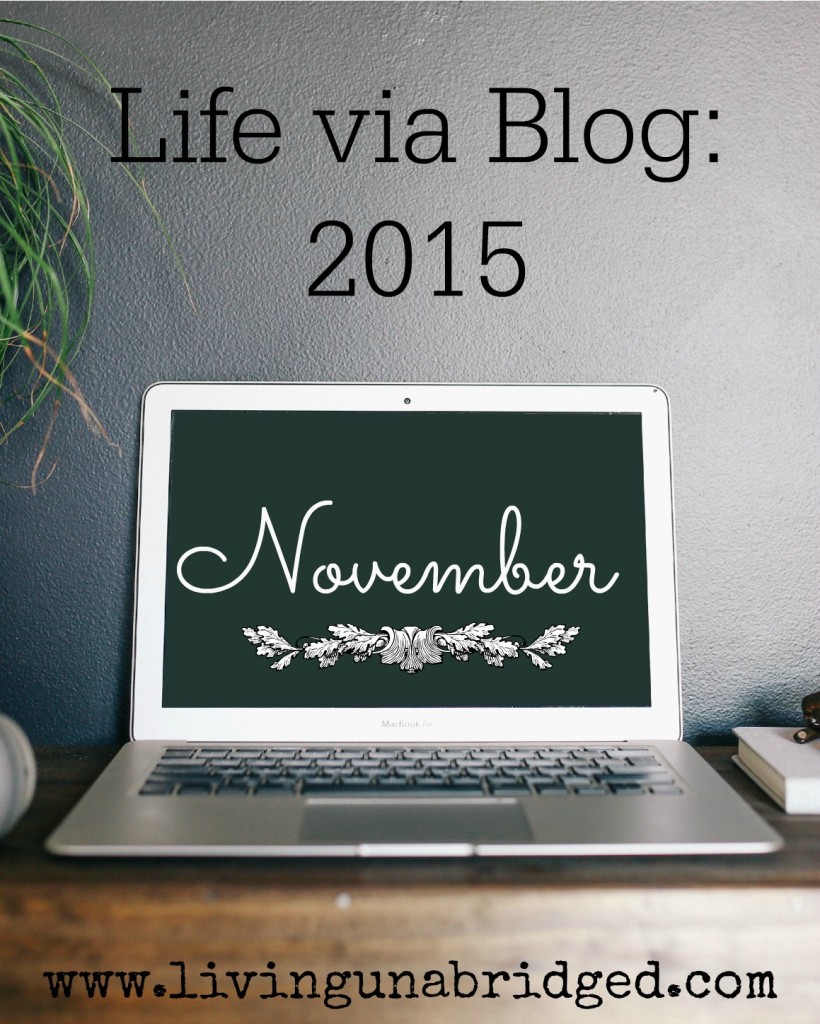 november blog life