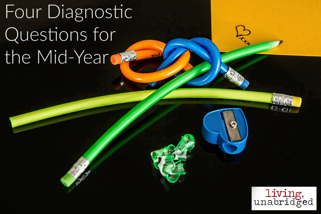 four diagnostic questions for homeschool mid-year