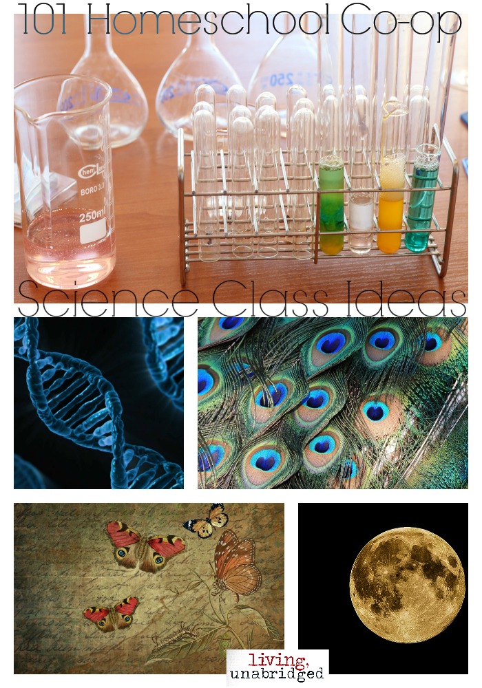 101 Science Class Ideas For Homeschool Co ops Living Unabridged