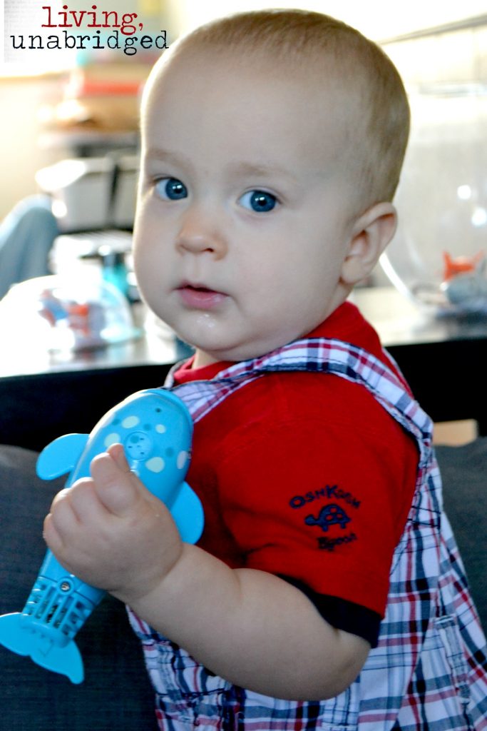 baby studying swimming creatures