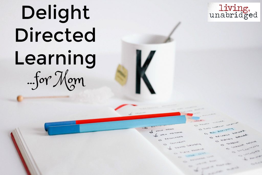 delight directed learning for mom