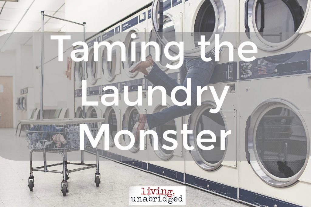 taming the laundry monster