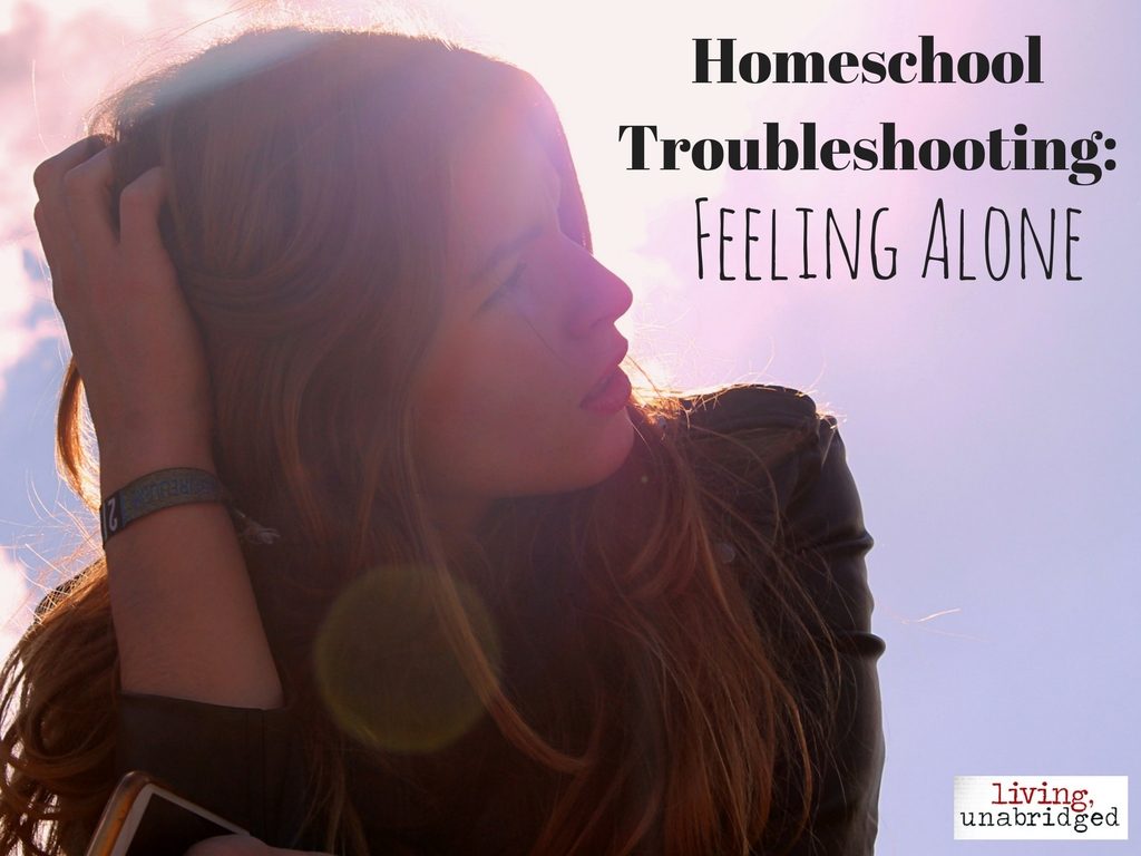 feeling alone: homeschool troubleshooting