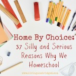 Home By Choice: 37 Silly and Serious Reasons We Homeschool