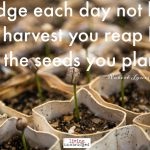 Words on Wednesday – Seeds not Harvest
